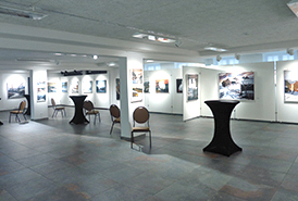 Ausstellungen 3